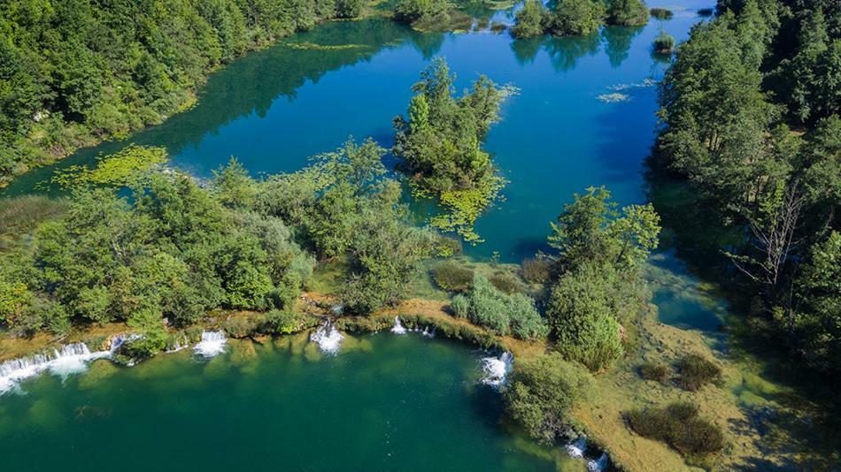 Kuca Za Odmor Zeleni Biser Villa Generalski Stol Eksteriør bilde